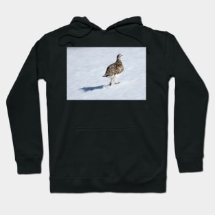 Ptarmigan Hoodie